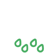 Rainwater reuse system